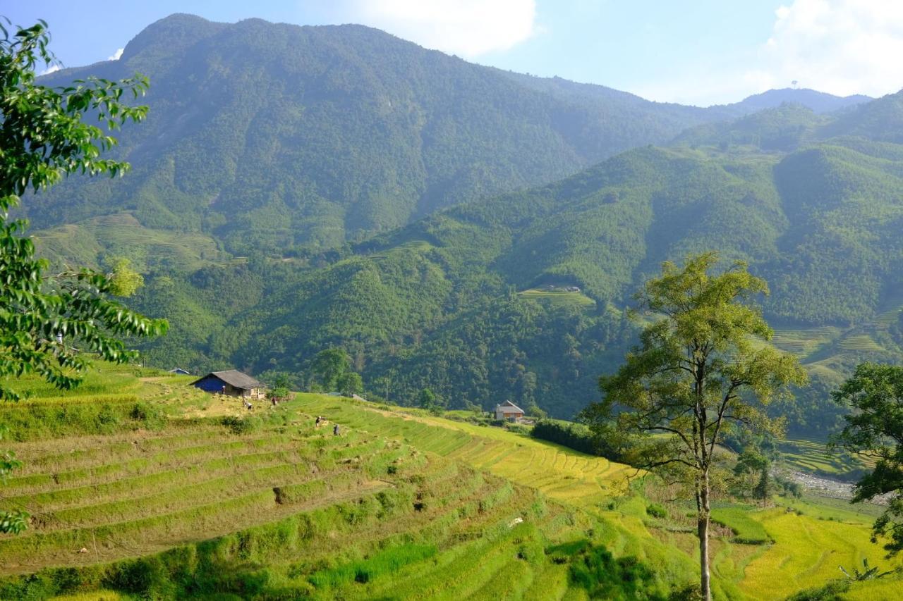 Sapa Hmong Bungalow Homestay Extérieur photo